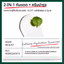 Dr.G R.E.D Blemish Soothing Up Sun SPF50+ PA++++ 50ml กันแดดปลอบประโลมผิวเนื้อน้ำ — 2